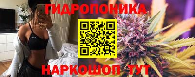 дживик Будённовск
