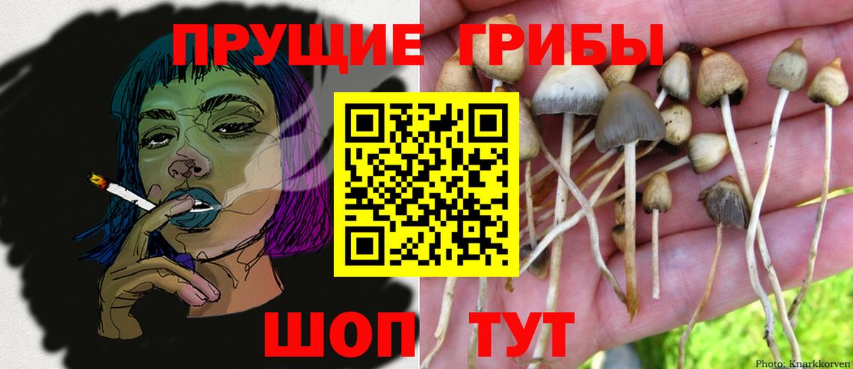Арзамас  Галлюциногенные грибы GOLDEN TEACHER  Псилоцибиновые грибы GOLDEN TEACHER  Вход с VPN 